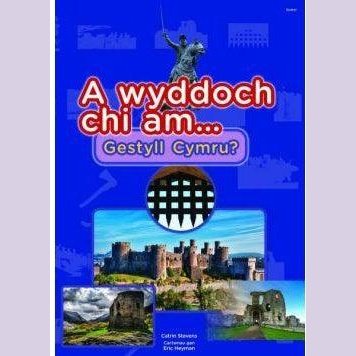 Cyfres a Wyddoch chi: A Wyddoch Chi am Gestyll Cymru? Catrin Stevens Welsh books - Welsh Gifts - Welsh Crafts - Siop y Pethe