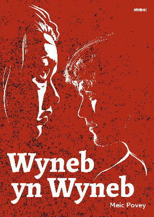 Wyneb yn Wyneb (Drama)