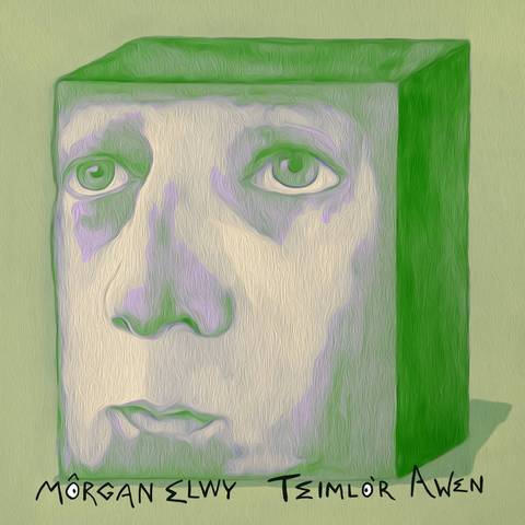 Teimlo'r Awen - Morgan Elwy