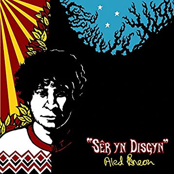 Sêr yn Disgyn (CD) - Aled Rheon