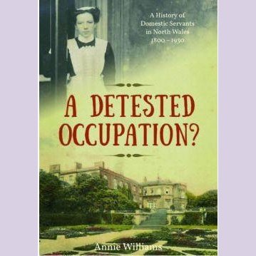 A Destested Occupation? - Siop y Pethe