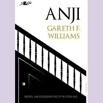 Cyfres Copa: Anji Gareth F. Williams Welsh books - Welsh Gifts - Welsh Crafts - Siop y Pethe