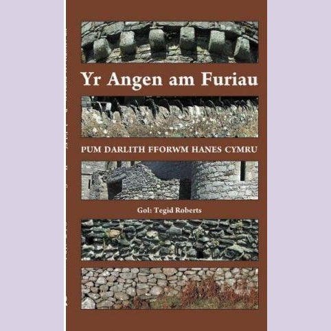 Darlithoedd Fforwm Hanes Cymru: Yr Angen am Furiau Welsh books - Welsh Gifts - Welsh Crafts - Siop y Pethe