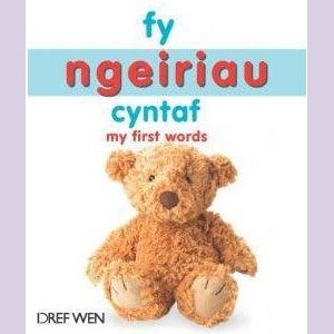 Fy Ngeiriau Cyntaf / My First Words - Siop y Pethe