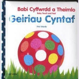 Babi Cyffwrdd a Theimlo/Baby Touch and Feel: Geiriau Cyntaf/First Words - Siop y Pethe