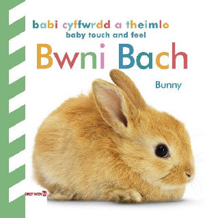 Babi Cyffwrdd a Theimlo: Bwni Bach / Baby Touch and Feel: Bunny