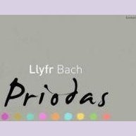 Llyfr Bach Priodas - Siop y Pethe