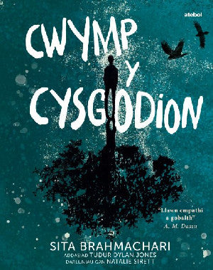 Darllen yn Well: Cwm y Cysgodion