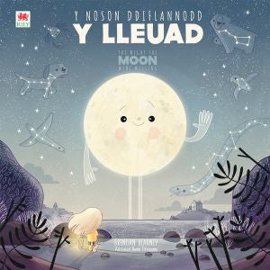 Noson Ddiflannodd y Lleuad, Y / Night the Moon Went Missing, The