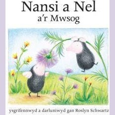 Cyfres Nansi a Nel: Nansi a Nel a'r Mwsog - Siop y Pethe