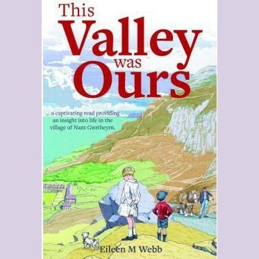 This Valley Was Ours - Siop y Pethe