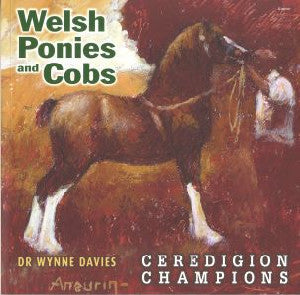 Welsh Ponies and Cobs - Ceredigion Champions