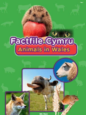 Factfile Cymru: Animals in Wales - Elin Meek