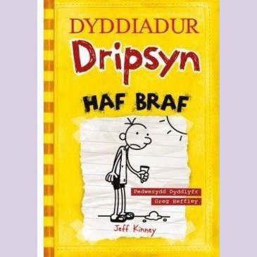 Dyddiadur Dripsyn : Haf Braf - Siop y Pethe
