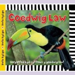Cyfres Dwlu Dysgu: Coedwig Law - Siop y Pethe