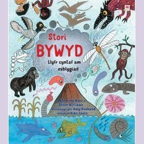 Stori Bywyd - Siop y Pethe
