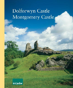 Castell Dolforwyn, Castell Trefaldwyn