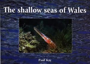 Shallow Seas of Wales, The