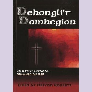 Dehongli'r Damhegion - Siop y Pethe