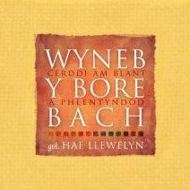 Wyneb y Bore Bach - Cerddi am Blant a Phlentyndod - Siop y Pethe