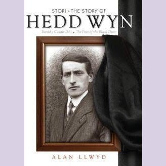 Stori Hedd Wyn/The Story of Hedd Wyn - Siop y Pethe