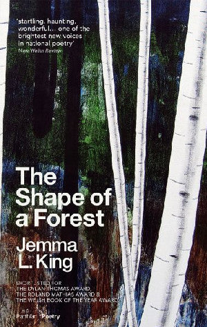 Shape of a Forest, The