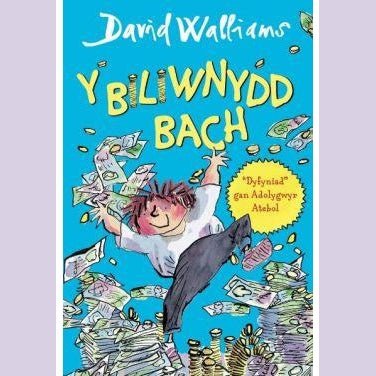 Y Biliwnydd Bach - Siop y Pethe