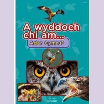 Cyfres a Wyddoch chi: A Wyddoch Chi am Adar Cymru? Elin Meek Welsh books - Welsh Gifts - Welsh Crafts - Siop y Pethe