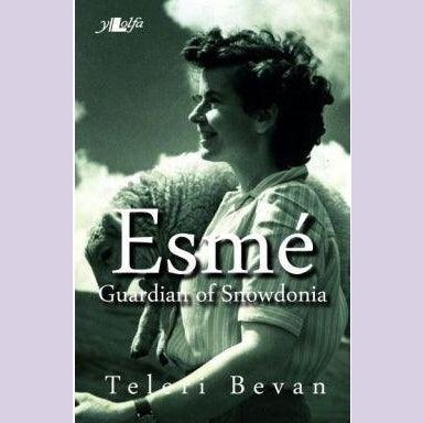 Esmé - Guardian of Snowdonia Welsh books - Welsh Gifts - Welsh Crafts - Siop y Pethe