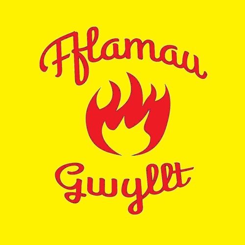 Fflamau Gwyllt (CD)