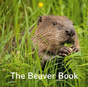 Beaver Book, The - Hugh Warwick - Siop y Pethe