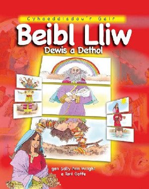Beibl Lliw Dewis a Dethol - Sally Ann Wright, Toni Goffe - Siop y Pethe