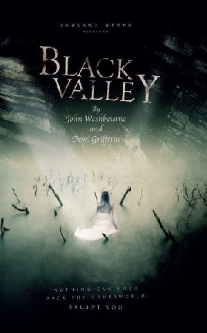 Black Valley - John Washbourne, Dewi Griffiths - Siop y Pethe