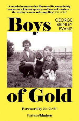 Boys of Gold - George Brinley Evans - Siop y Pethe
