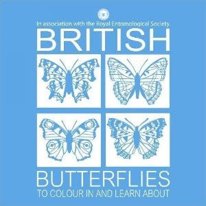 British Butterflies to Colour in and Learn About - Siop y Pethe