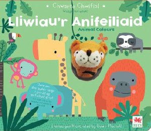 Chwarae Chwifio: Lliwiau'r Anifeiliaid / Animal Colours - Really Decent Books - Siop y Pethe