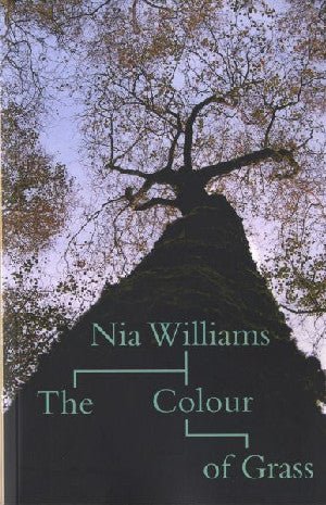 Colour of Grass, The - Nia Williams - Siop y Pethe