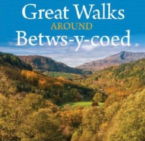 Compact Cymru: Teithiau Cerdded Gwych o Gwmpas Betws-y-Coed - Siop y Pethe