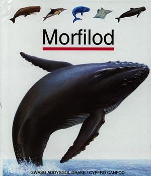 Cyfres Cyffro Canfod: Morfilod - Siop y Pethe