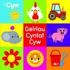 Cyfres Cyw: Geiriau Cyntaf Cyw - Helen Davies - Siop y Pethe