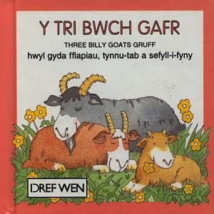 Cyfres Hoff Straeon:Tri Bwch Gafr, Y - Siop y Pethe