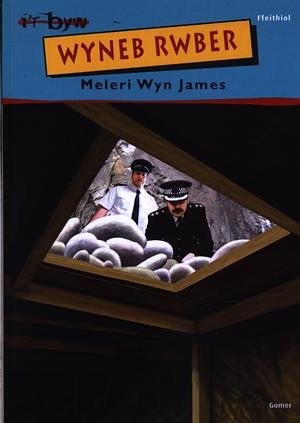Cyfres i'r Byw: Wyneb Rwber - Meleri Wyn James - Siop y Pethe