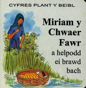 Cyfres Plant y Beibl: Miriam y Chwaer Fawr a Helpodd ei Brawd Bach - Charlotte Stowell - Siop y Pethe