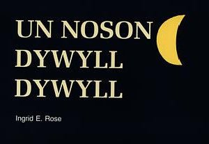 Cyfres Prosiect Llyfrau 3D: Un Noson Dywyll Dywyll - Ingrid E. Rose - Siop y Pethe
