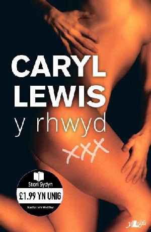 Cyfres Stori Sydyn: Y Rhwyd - Caryl Lewis - Siop y Pethe