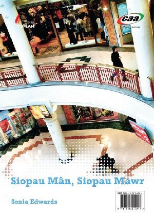 Cyfres y Fflam: Siopau Mân, Siopau Mawr / Angel - Sonia Edwards - Siop y Pethe