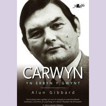Carwyn - Yn Erbyn y Gwynt - Siop y Pethe