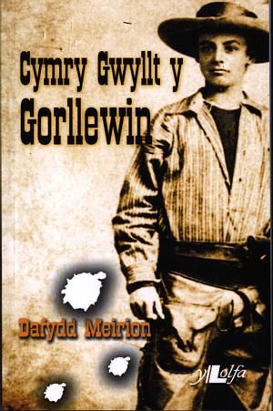Cymry Gwyllt y Gorllewin - Dafydd Meirion