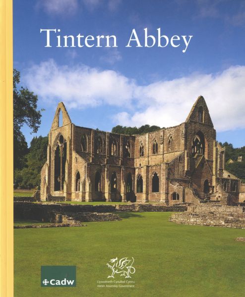 Tintern Abbey - David M. Robinson