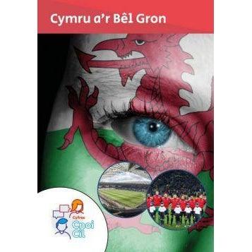 Cyfres Cnoi Cil: Cymru a'r Bêl Gron - Sian Vaughan Welsh books - Welsh Gifts - Welsh Crafts - Siop y Pethe